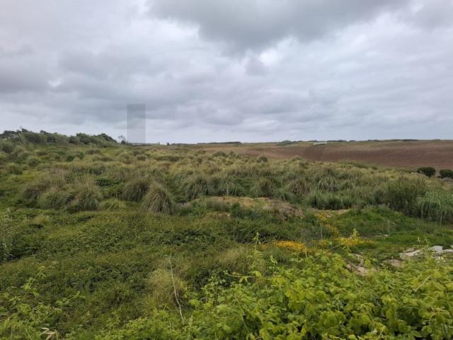 Terreno venda em Encarnação, Mafra