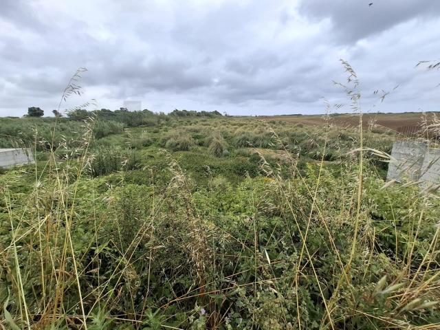Terreno venda em Encarnação, Mafra