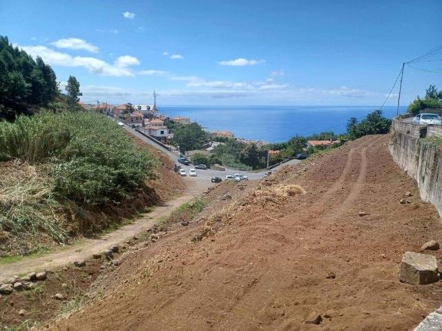 Apartamento venda em Livramento, Funchal