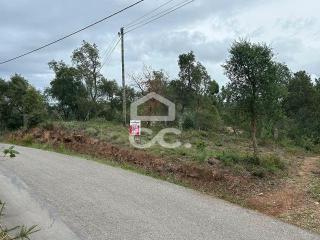 Terreno venda em Eiras e São Paulo de Frades, Coimbra