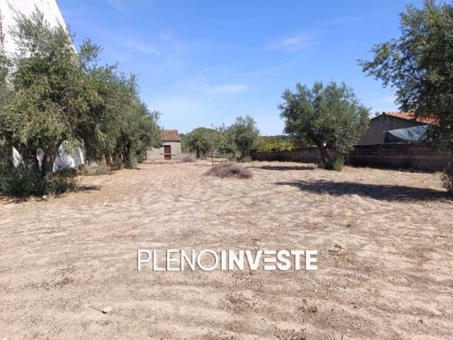 Terreno venda em Tolosa, Nisa