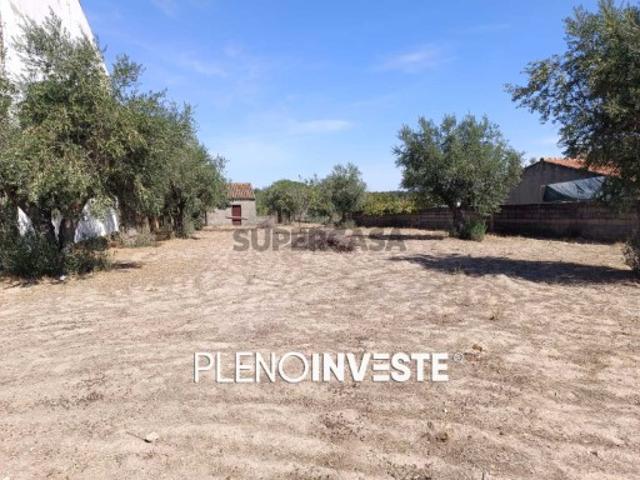 Terreno venda em Tolosa, Nisa