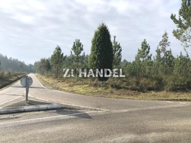 Terreno venda em Anadia, Aveiro