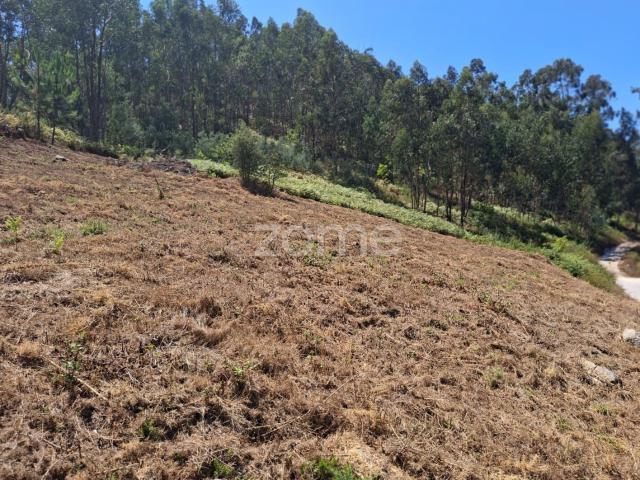 Terreno venda em Eira Velha, Guimarães