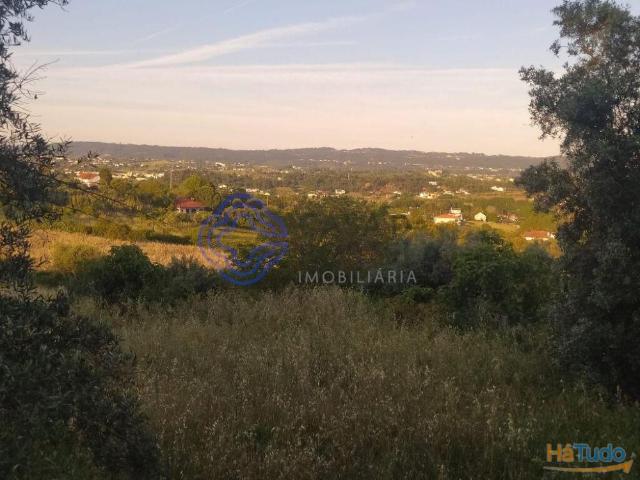 Terreno venda em Tomar, Santarém