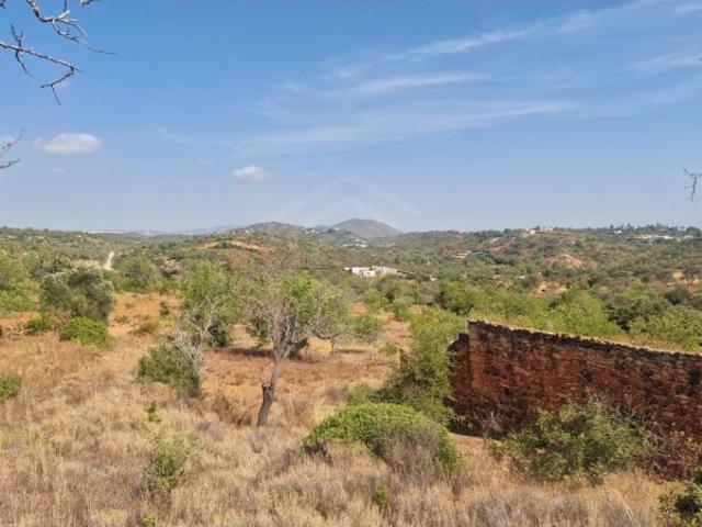 Terreno venda em Boliqueime, Vale Covo
