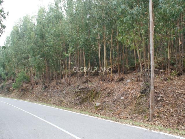 Terreno venda em Monchique, Faro
