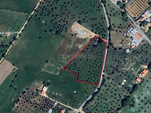Terreno venda em Montemor-o-novo, Évora