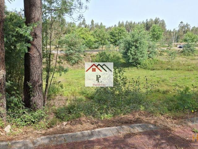 Terreno venda em Vila Nova De Poiares, Coimbra