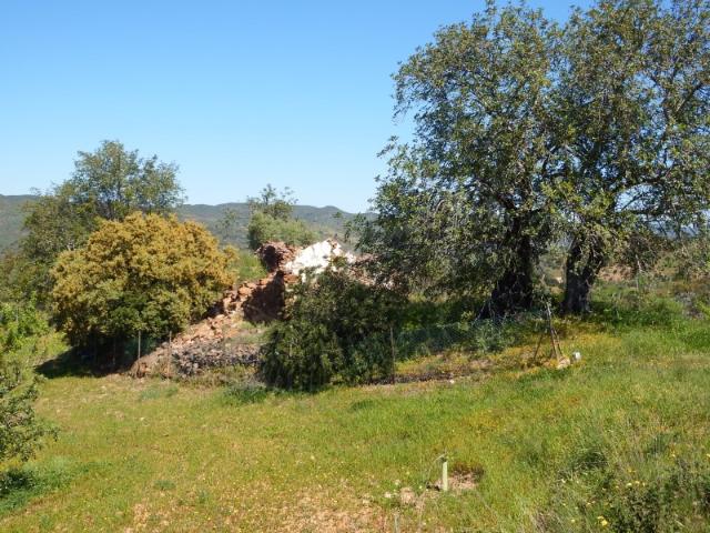 Casa venda em Santa Catarina da Fonte do Bispo, Tavira