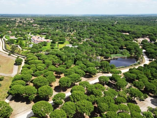 Terreno venda em Benavente, Santarém