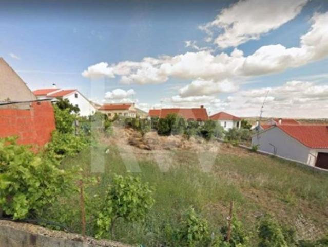 Terreno venda em Castelo Branco, Idanha-a-nova