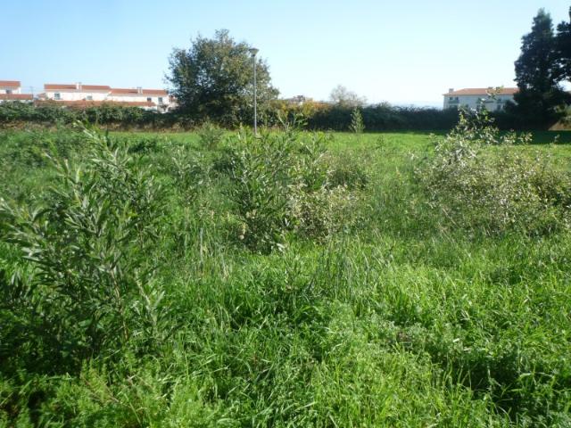 Terreno venda em Assilhó, Albergaria-a-velha