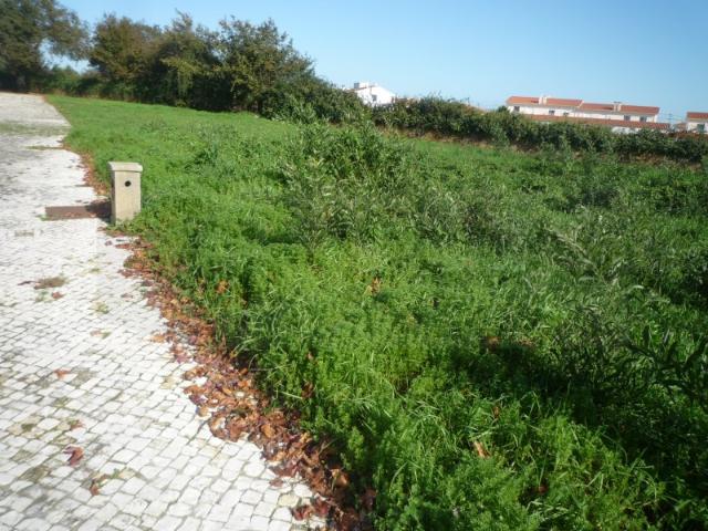 Terreno venda em Assilhó, Albergaria-a-velha