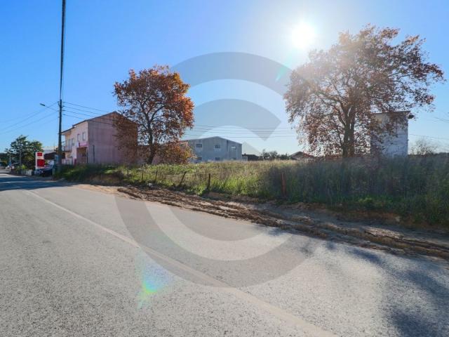 Terreno venda em Alcanena, Santarém