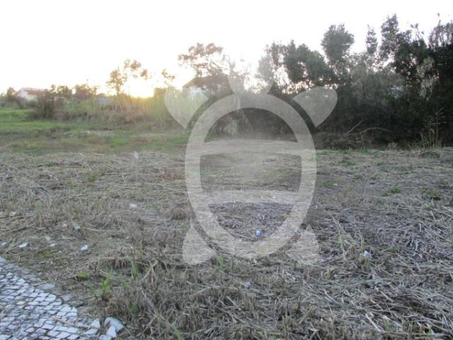 Terreno venda em Figueira Da Foz, Coimbra