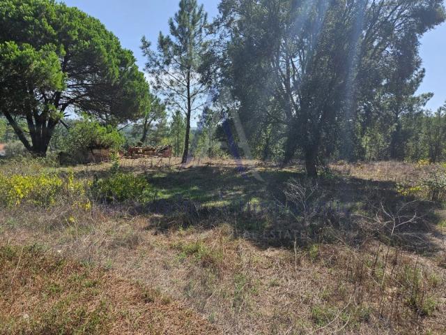 Terreno venda em Sesimbra (Castelo), Sesimbra