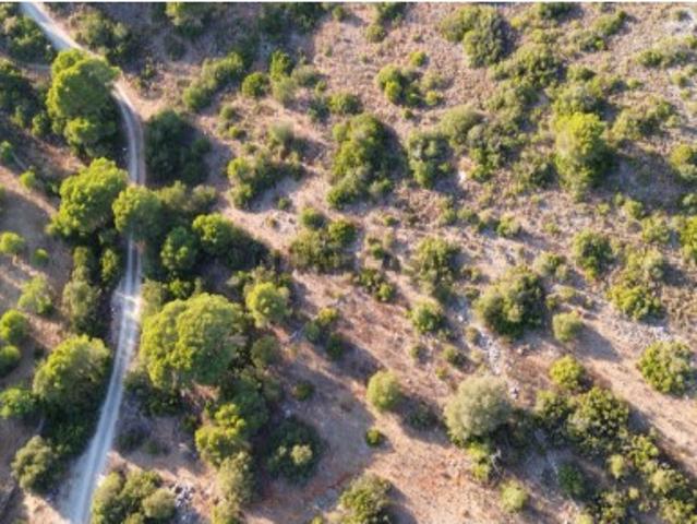 Terreno venda em Palmeiral, Loulé