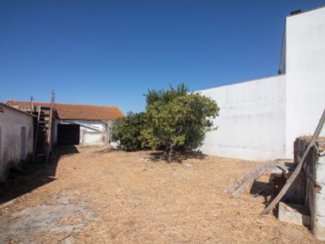 Terreno venda em Cartaxo, Santarém