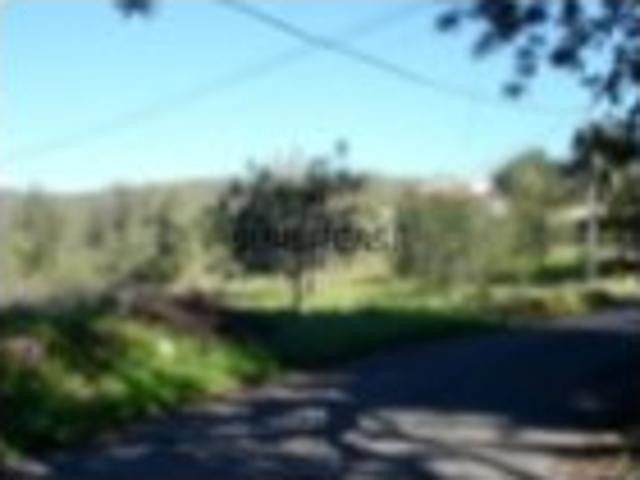 Terreno venda em Loulé, Faro