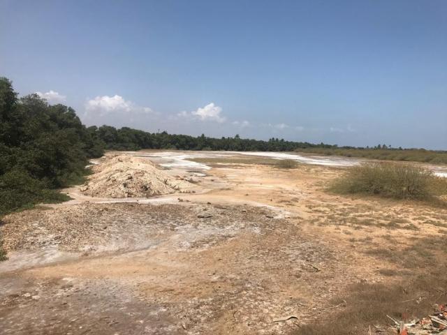 Terreno en venta en Barcelona, Amazonas