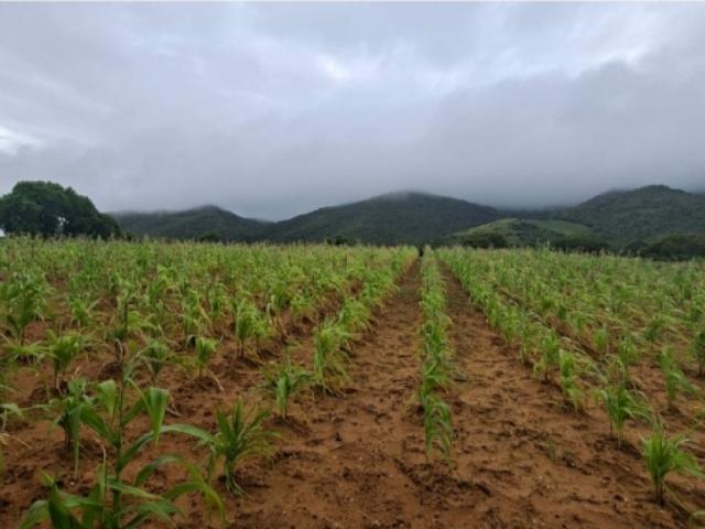 Terreno en venta en Manzanillo, Nueva Esparta