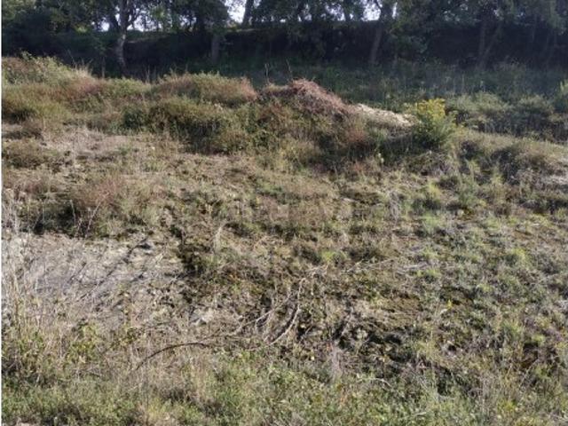 Terreno venda em Batalha, Leiria