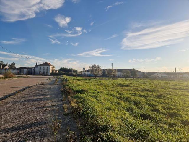 Terreno venda em Pombal, Pelariga