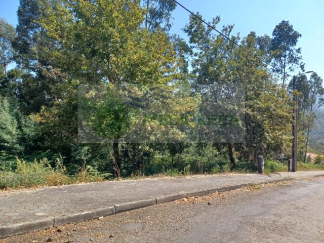 Terreno venda em Rachado, Sever Do Vouga