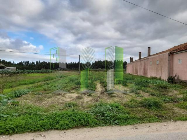 Terreno venda em Monte Arcado, Cantanhede