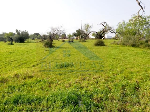 Terreno venda em Alto do Calhau, Faro