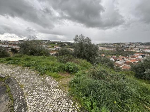 Terreno venda em Batalha, Leiria
