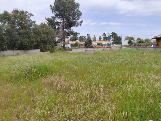 Terreno venda em Palmela, Setúbal