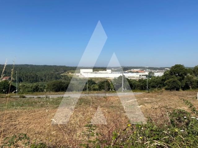Terreno venda em Oliveira Do Bairro, Aveiro