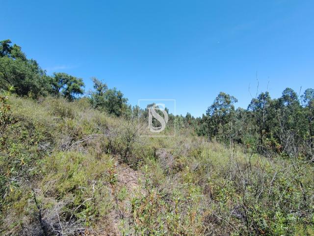 Terreno venda em Madeiras, Praia Do Ribatejo