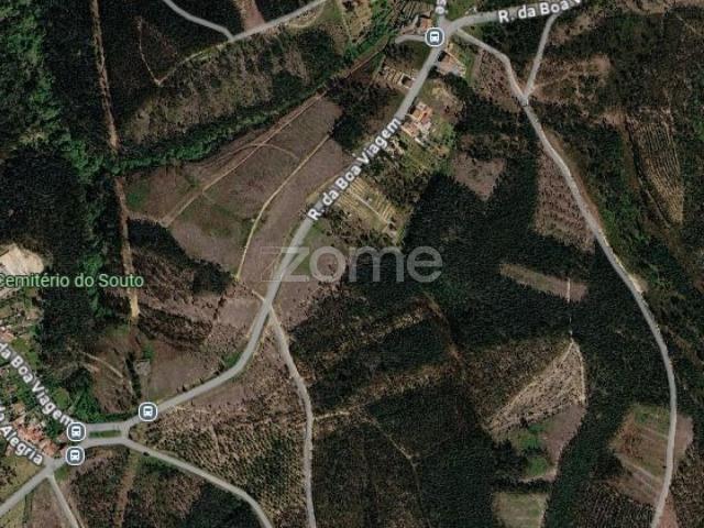 Terreno venda em Abrantes, Santarém