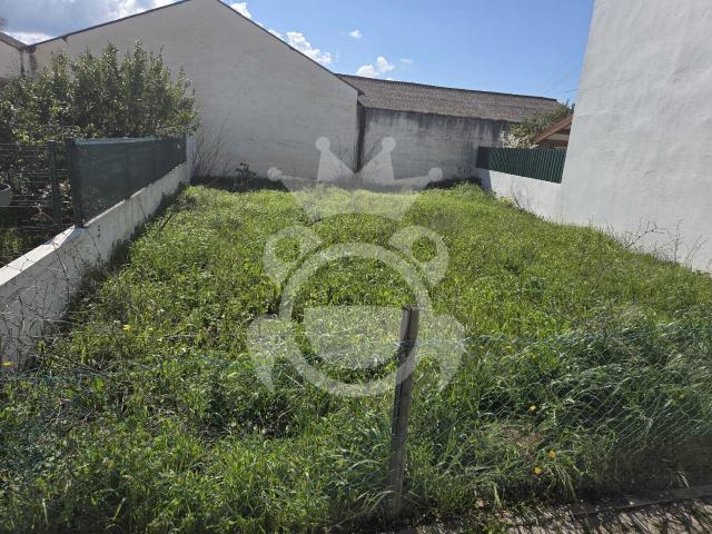 Terreno venda em Montemor-o-novo, Évora