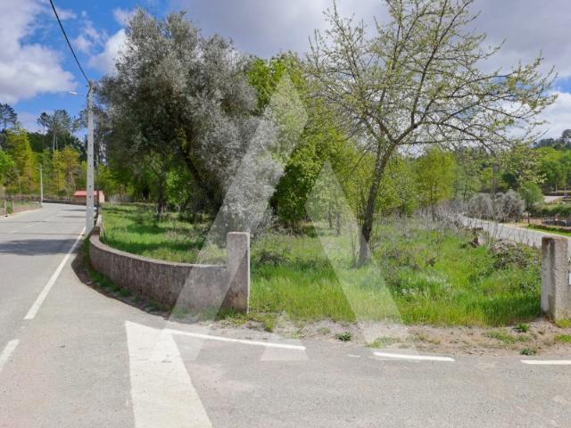 Terreno venda em Monte Salvado, Viseu
