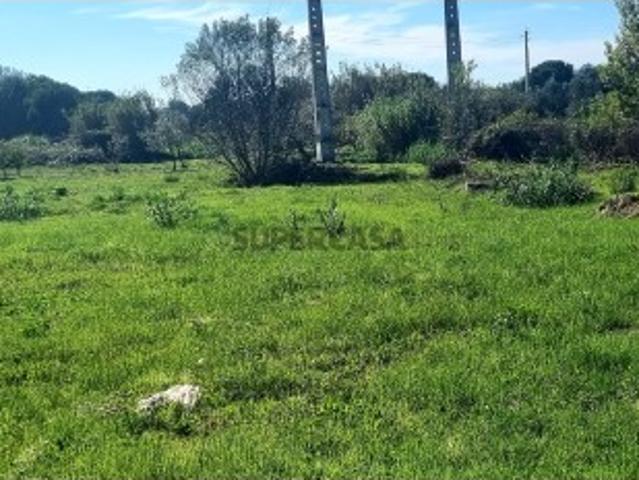Terreno venda em Entroncamento, Nossa Senhora de Fátima