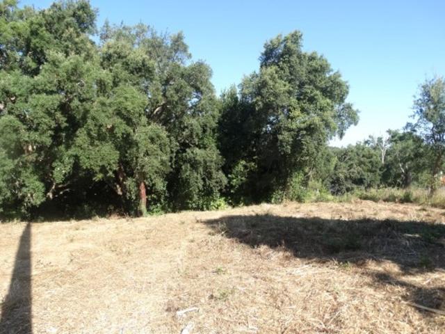 Terreno venda em Leiria, Pousos, Barreira e Cortes, Leiria
