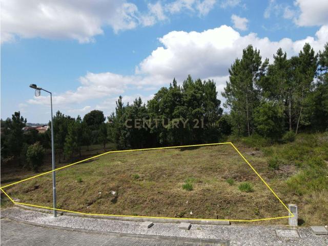 Terreno venda em Coimbrã, Coimbra