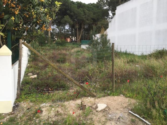 Terreno venda em Azeitão (São Lourenço e São Simão), Setúbal