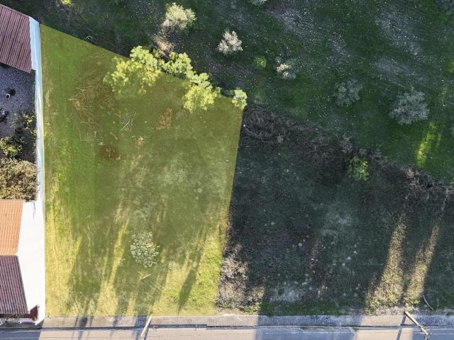 Terreno venda em Chamusca, Santarém