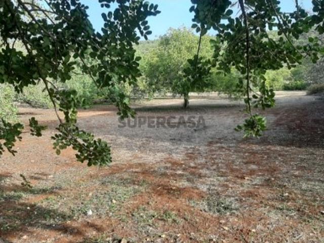 Terreno venda em Cova da Muda, São Brás De Alportel