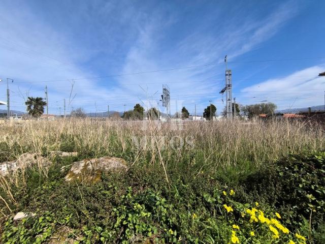 Terreno venda em Viana Do Castelo
