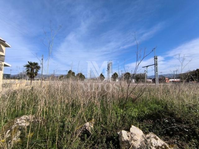 Terreno venda em Viana Do Castelo