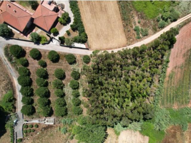 Terreno venda em Lourinhã, Lisboa