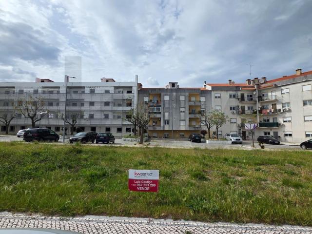 Terreno venda em Castelo Branco