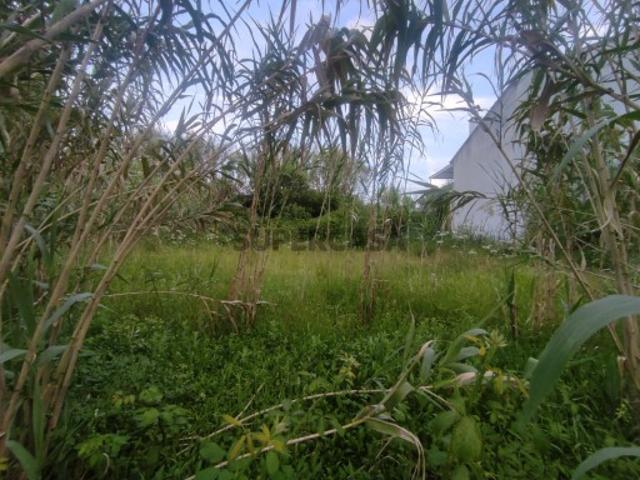 Terreno venda em Oliveira Do Bairro, Aveiro