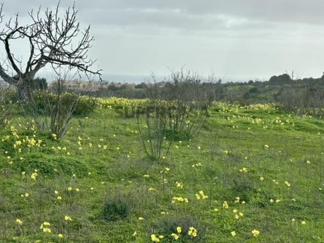 Terreno venda em Lagos, Faro
